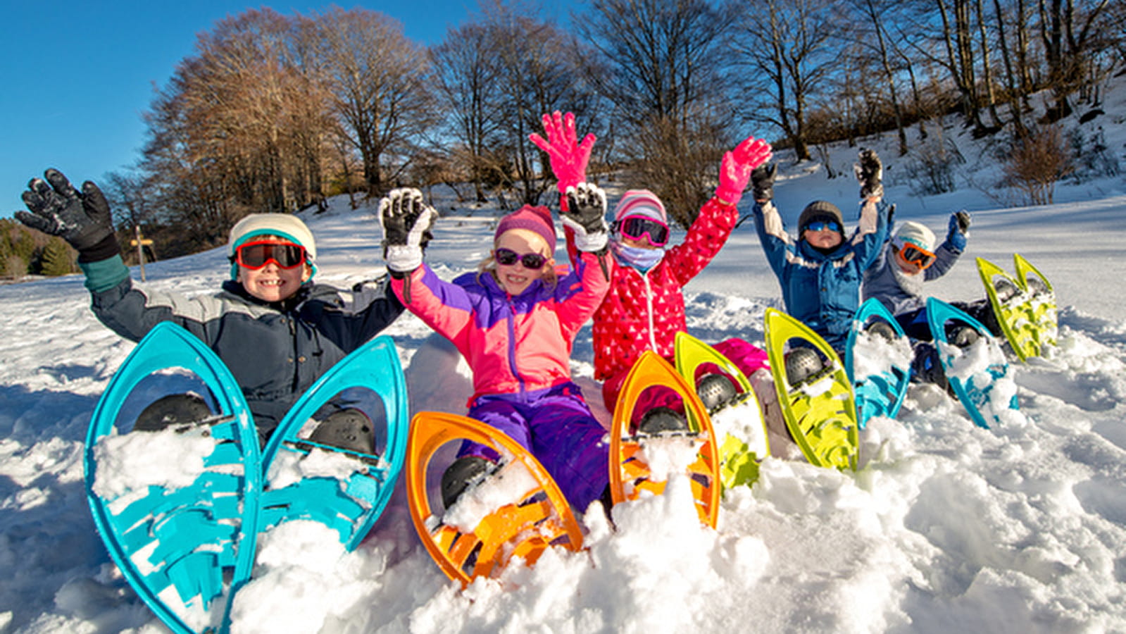 Le Flocon de Neige