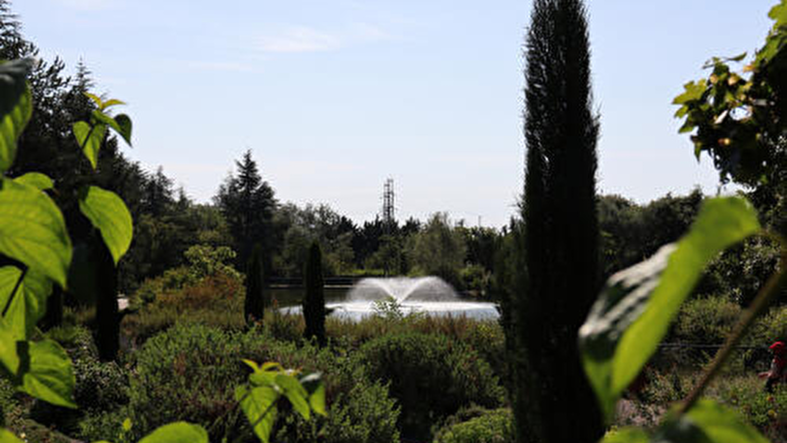 Parc de la Toison d'Or