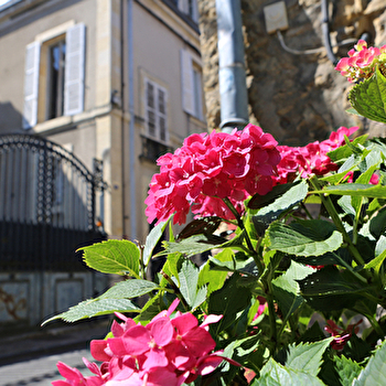 Visite guidée: 'Ville en jaune' - NEVERS