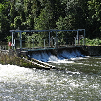 L'Echelle à Poissons - GURGY