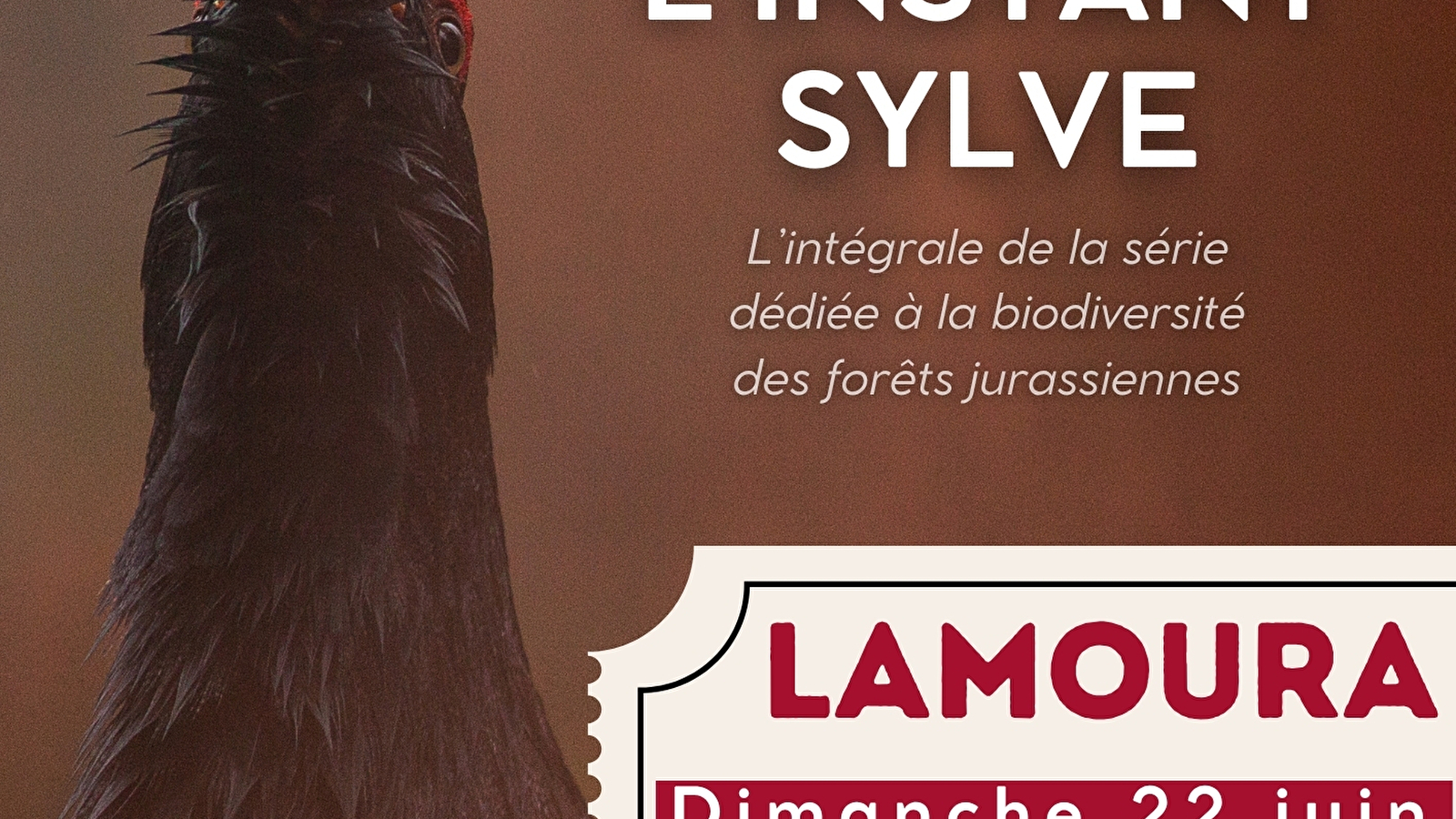 Projection nature : L'instant sylve