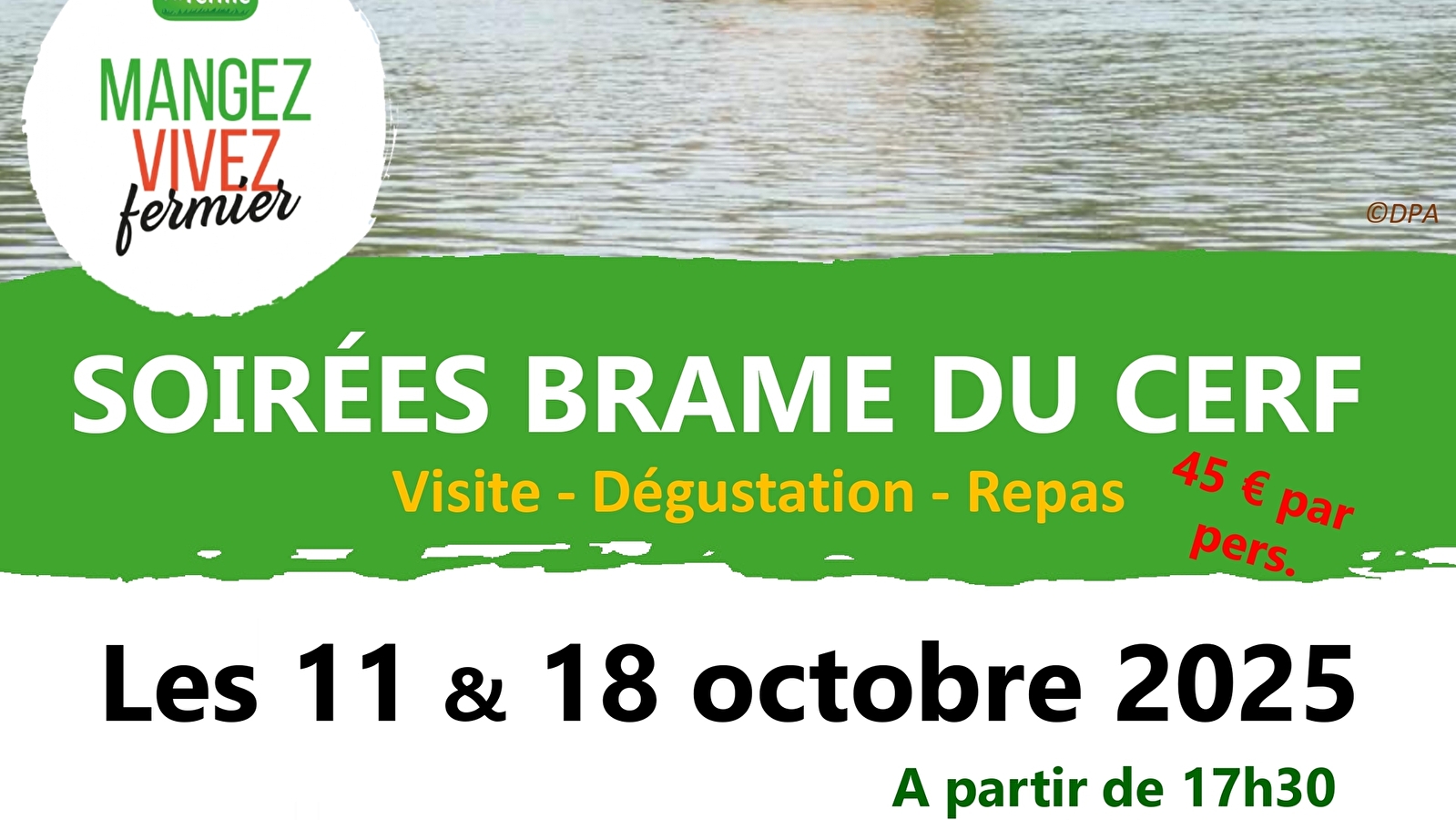 Soirées brame du cerf