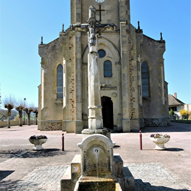 Le bois des Vignes 