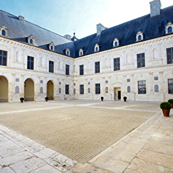 Découvrez un étonnant Palais de la Renaissance… A hauteur d'enfant !  - ANCY-LE-FRANC