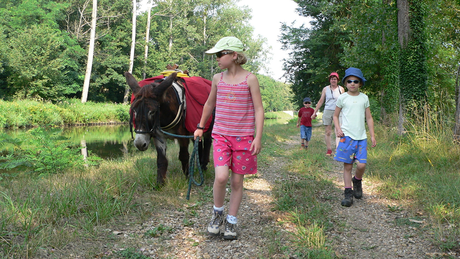 Week-end balade en famille avec un âne