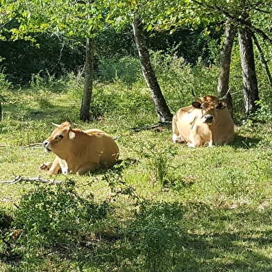 Ferme du Petit Virey