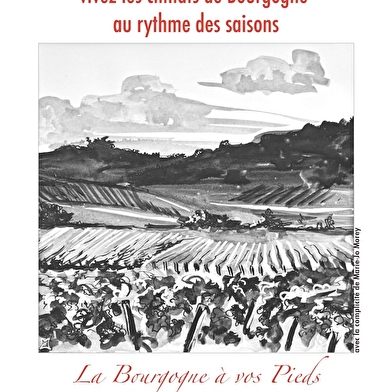 Conférence-dégustation à Meursault : Reconnaissez-vous un pinot noir de Bourgogne ?