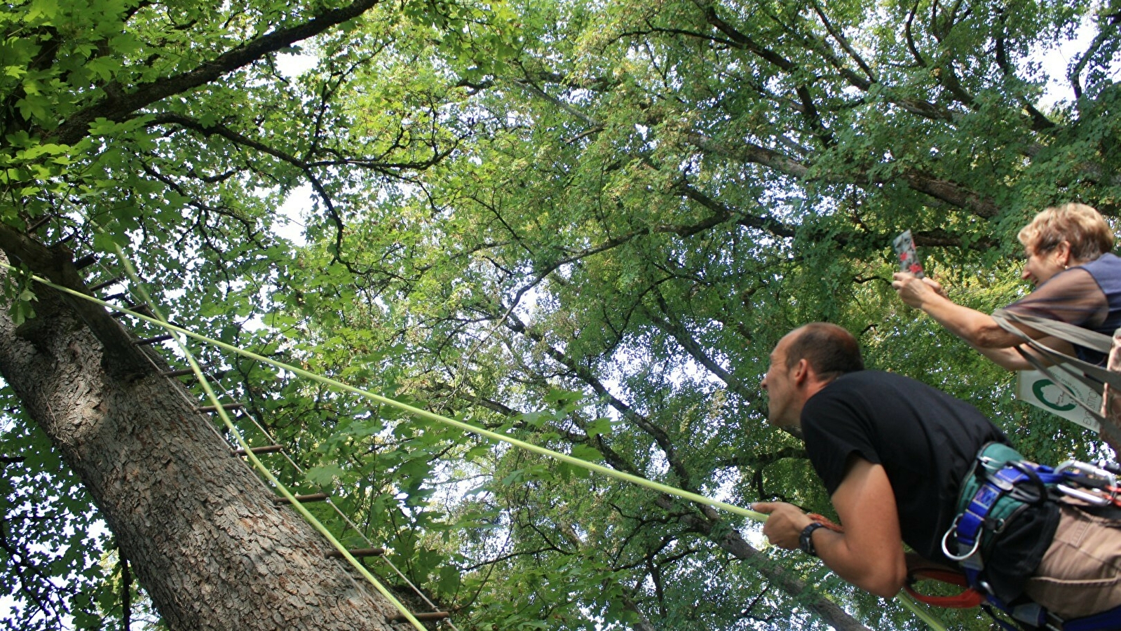 Maison du Parc national & Maison de la Forêt