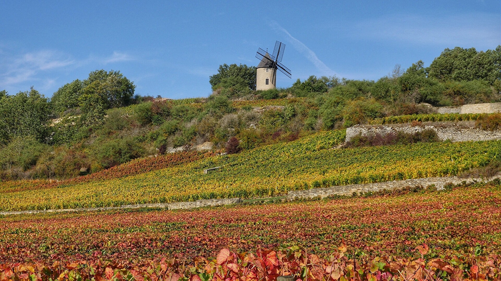 Aire de pique-nique du Moulin Sorine