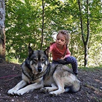 Cani rando et sulky familles - LAMOURA
