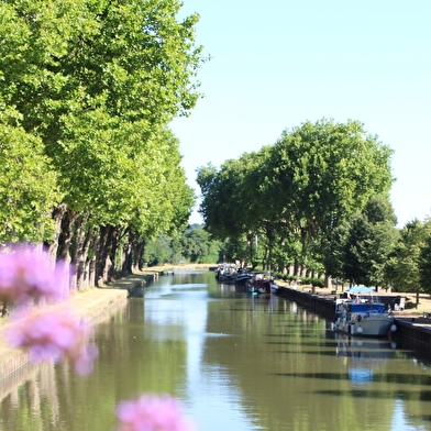 Aire de pique-nique du Quai Sully