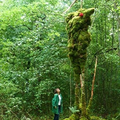 La Forêt des Géants Verts 