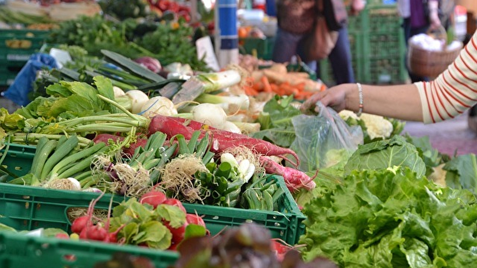 Marché de Nevers : Place Carnot