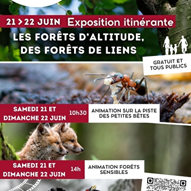 Projection nature : L'instant sylve