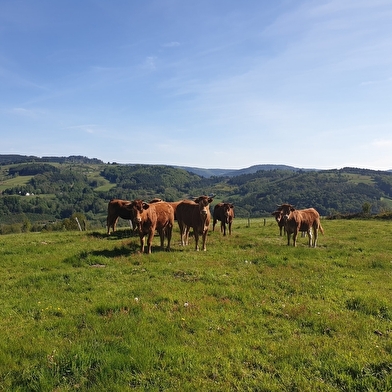 Ferme du Breuillet