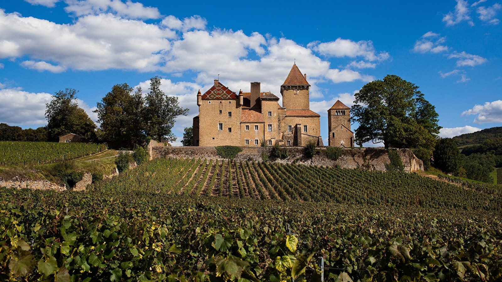 Château de Pierreclos