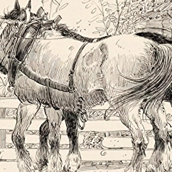 Les chevaux de la saline - SALINS-LES-BAINS