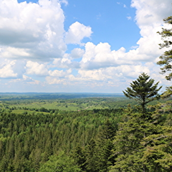 Belvédère du Mouflon - FRAROZ
