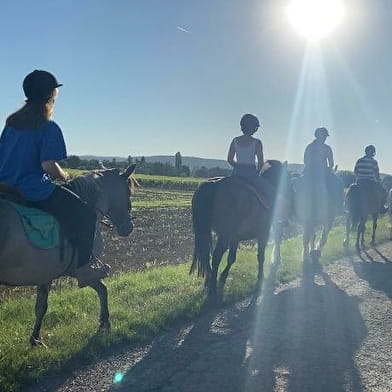 En EQUI-LIBRE - Balade à cheval autour de Beaune