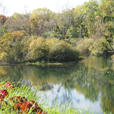 Lac de Marcilly-sur-Tille