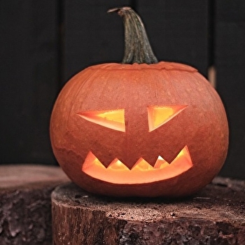 Halloween débarque au centre ville de Nevers - NEVERS