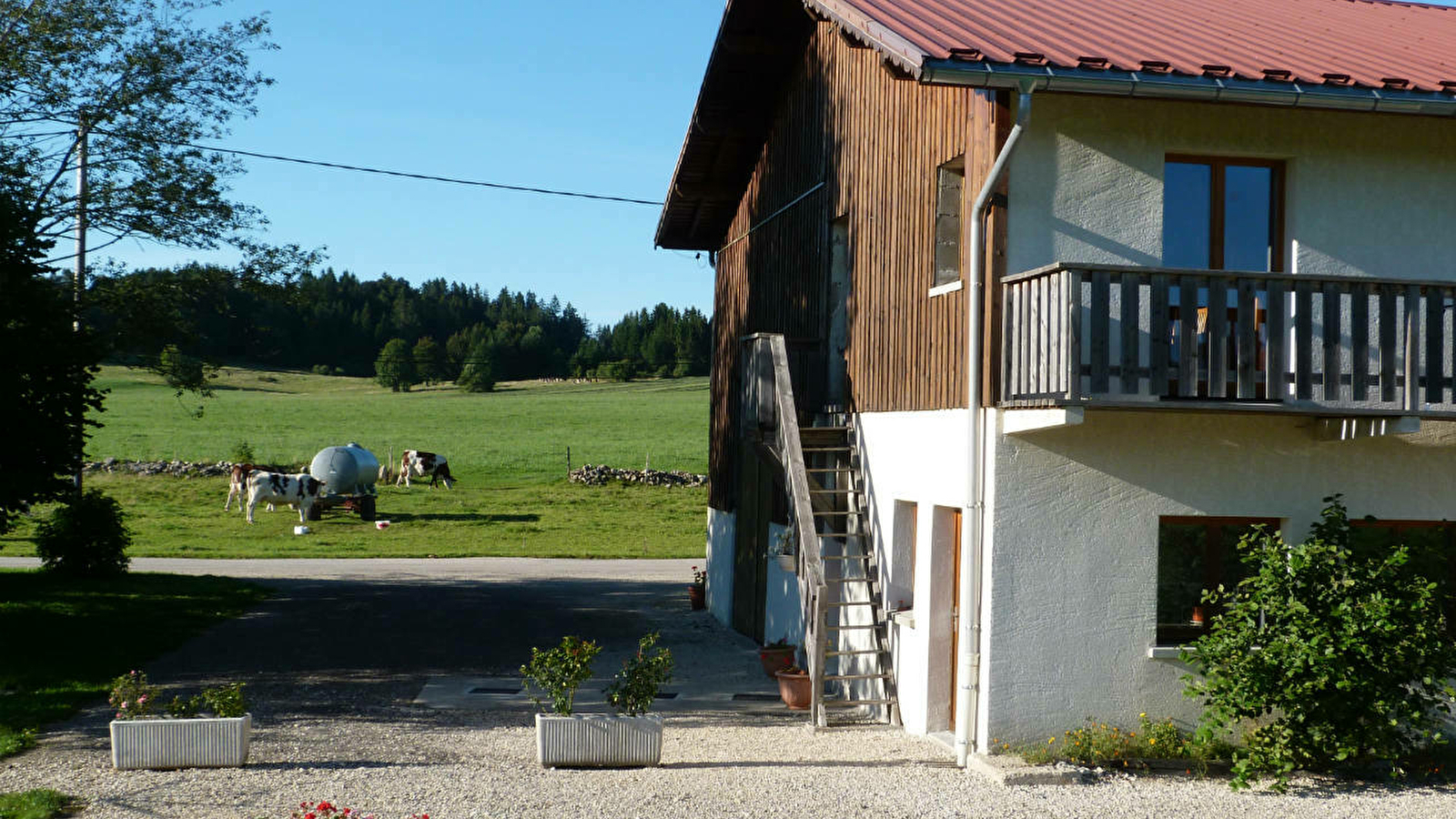 Appartement - Narcisse
