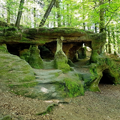 Massif de la Serre