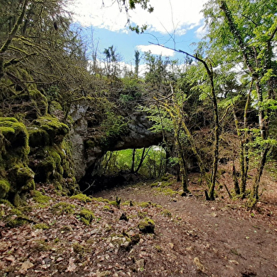 Découverte de Larnod