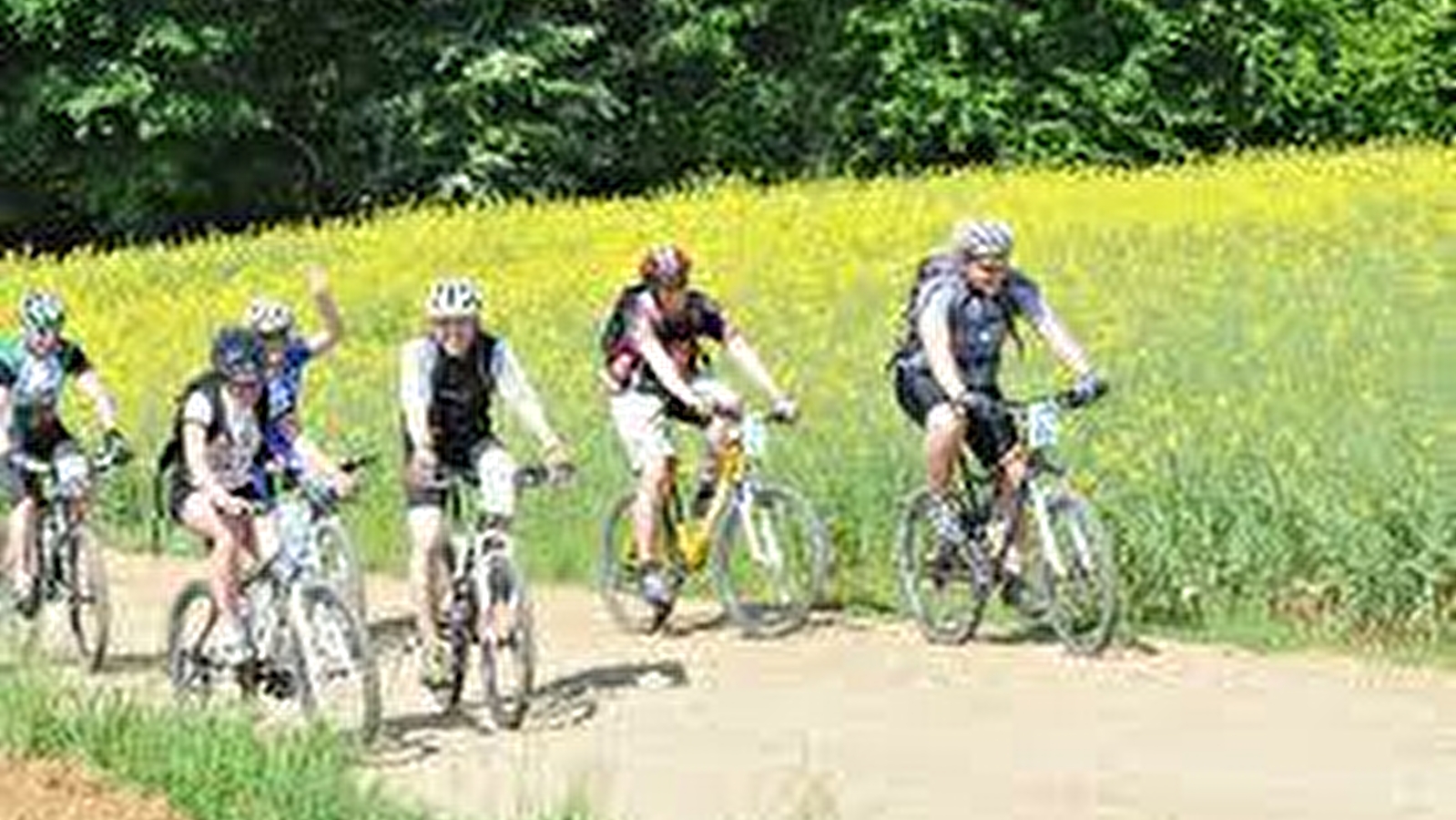 VTT dans les Monts de Gy : Circuit 57 'La ferme de Courbey'
