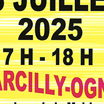 Vide greniers- Marcilly-Ogny - MARCILLY-OGNY