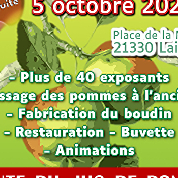 Fête de la pomme à Laignes (21) - LAIGNES