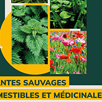 Atelier 'Sauvage' - ORNANS