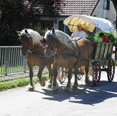 Association Les Calèches Nivernaises