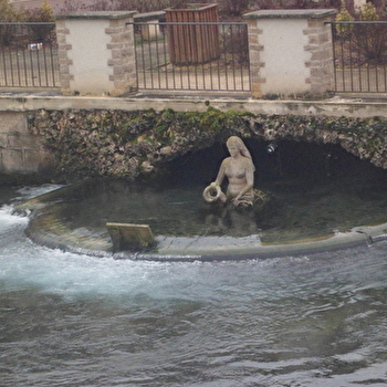 Résurgence de la Laigne - LAIGNES