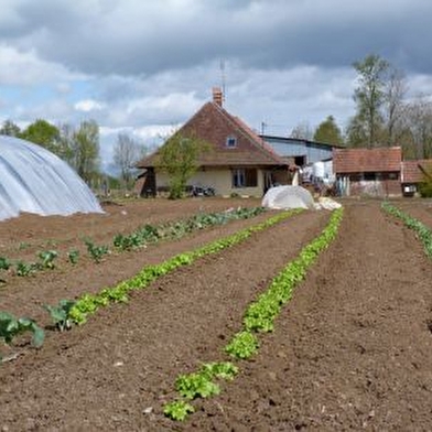 Ferme - au bas de l'étang