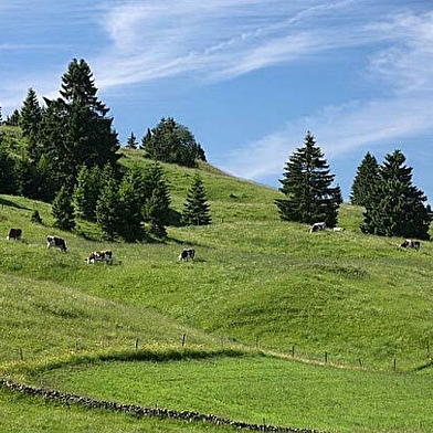 Balade en roulotte dans le Haut-Jura