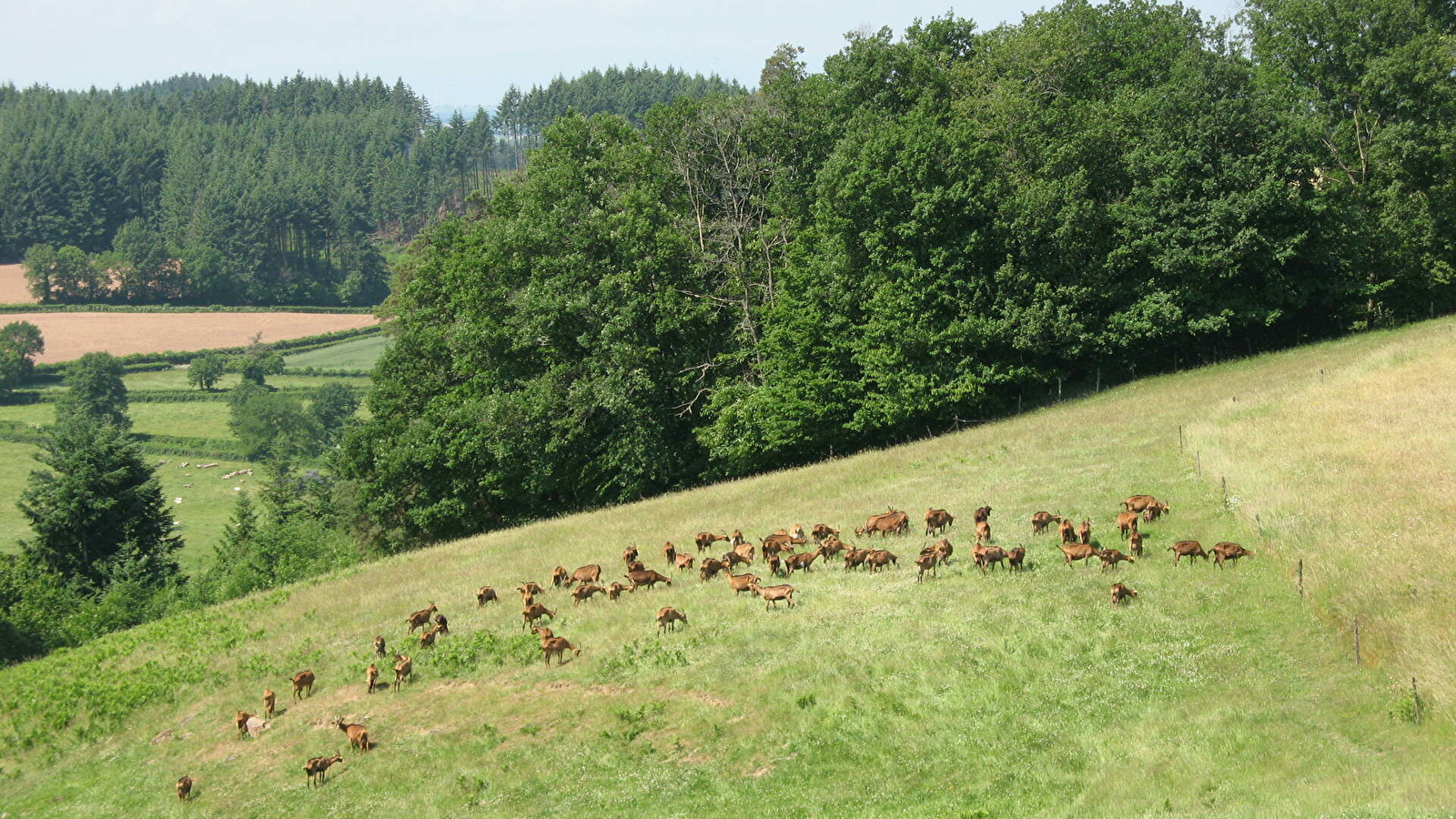 Circuit des Etangs