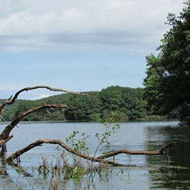 Espace naturel du Pont du Roi