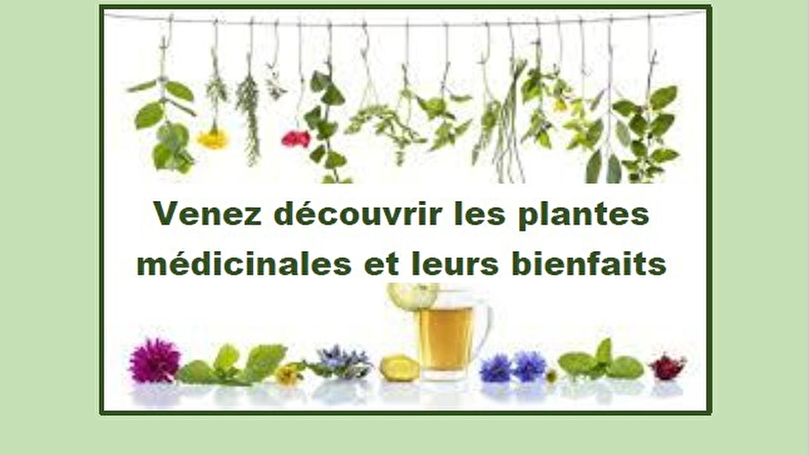 Rendez-vous aux jardins - La Maison du Patrimoine