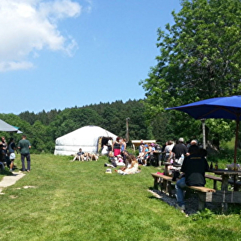 Visite d'alpage et goûter au chalet - ROCHEJEAN