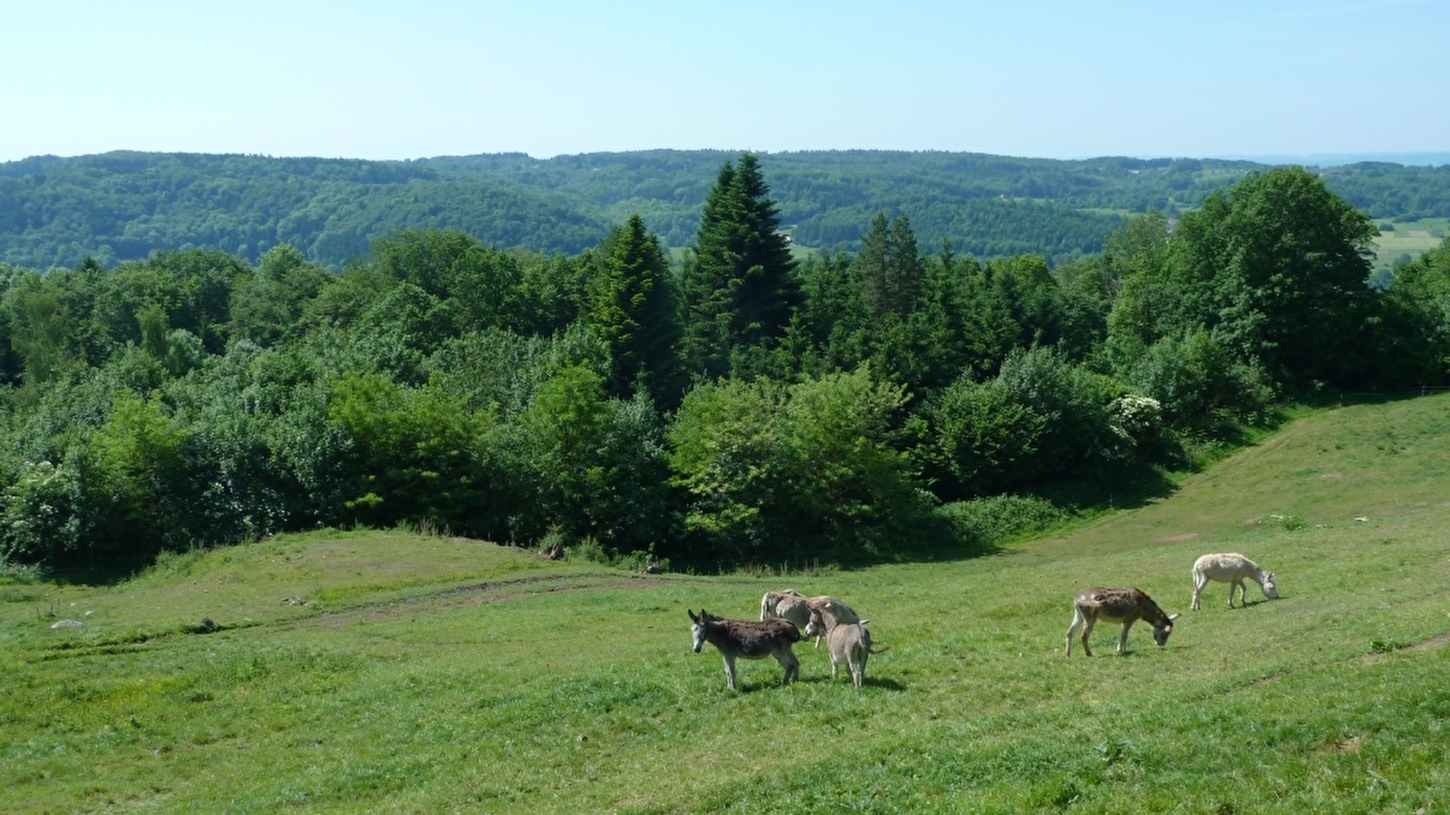 Le Pré d'Oro