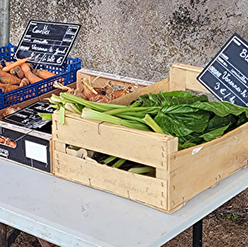 Le petit café - Marché - SAINT-JEAN-DE-TREZY