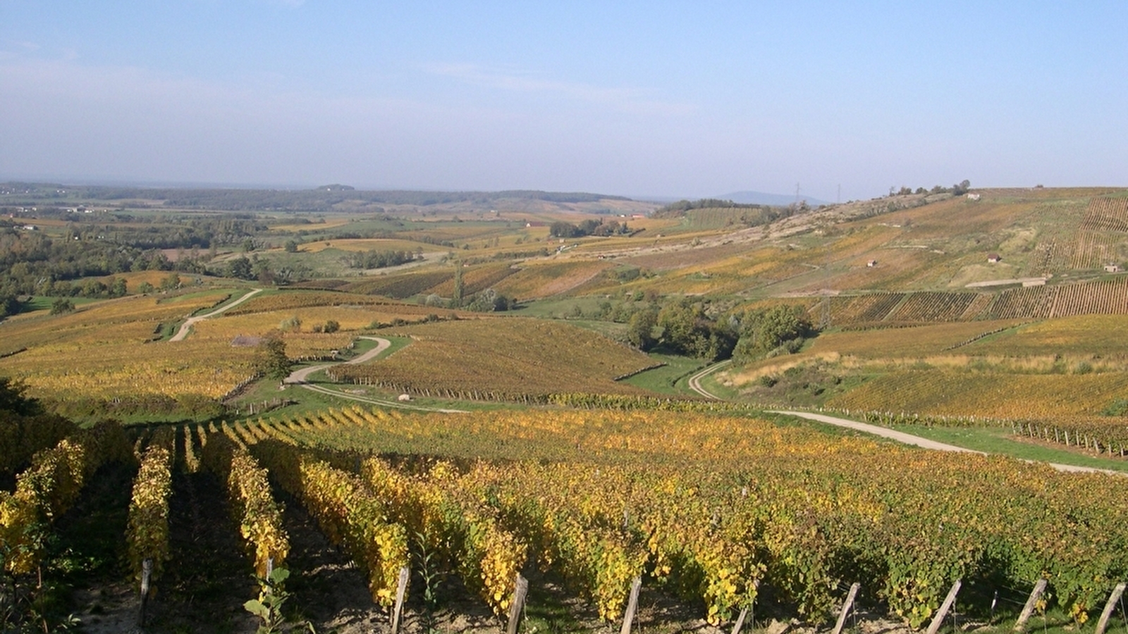 Domaine de la Renardière, Jean-Michel Petit