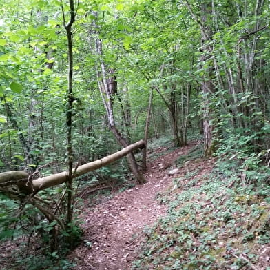 Sentier des Chèvres