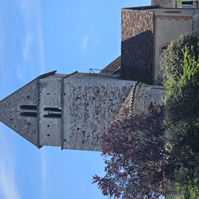 Aire de pique-nique