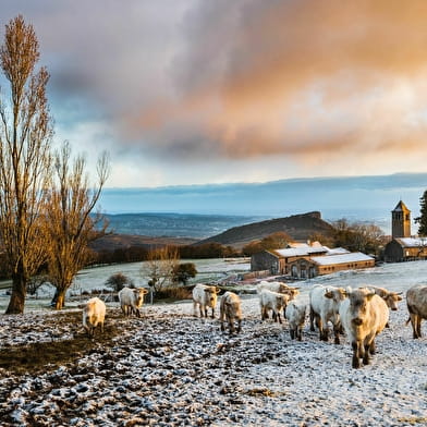 Le sentier des crêtes