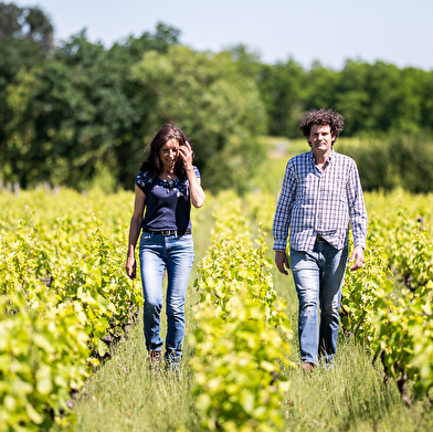 Le Moulin-à-Vent : de la vigne au chai