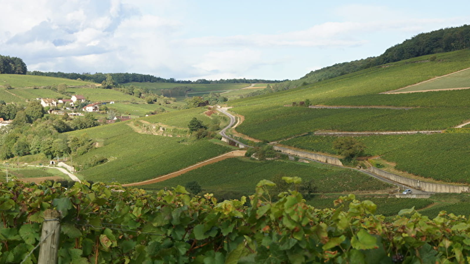 Berthod Aurélie