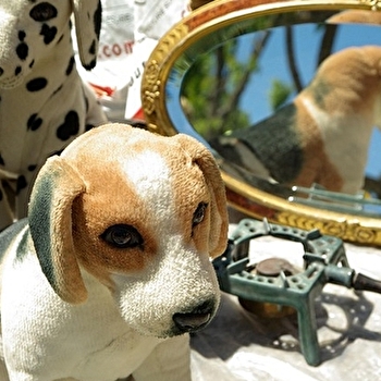 Brocante - CHAMPIGNELLES