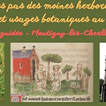 Sortie guidée 'Sur les pas des moines herboristes: croyances et usages botaniques au Moyen-Âge' - MONTIGNY-LES-CHERLIEU